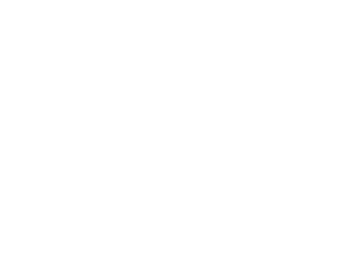 SES Blogging